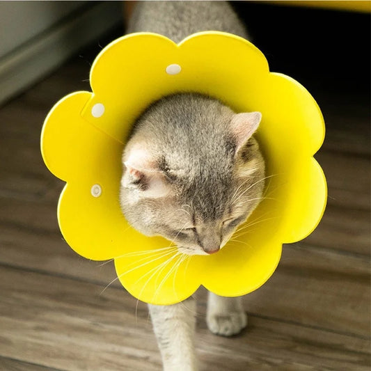 Cute Flower Shaped Adjustable Cat Dog Elizabethan Recovery Collar Puppy Kitten Protective Anti-Bite Healing Aid
