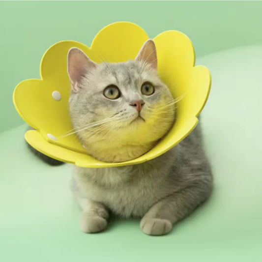 Cute Flower Shaped Adjustable Cat Dog Elizabethan Recovery Collar Puppy Kitten Protective Anti-Bite Healing Aid